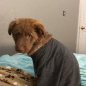 Meet your Posher, Madmac